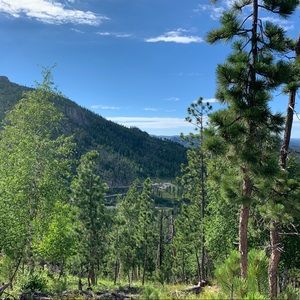 Meet your Posher, Deborah